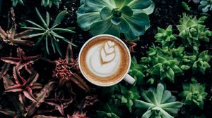 Preview wallpaper coffee, foam, plants