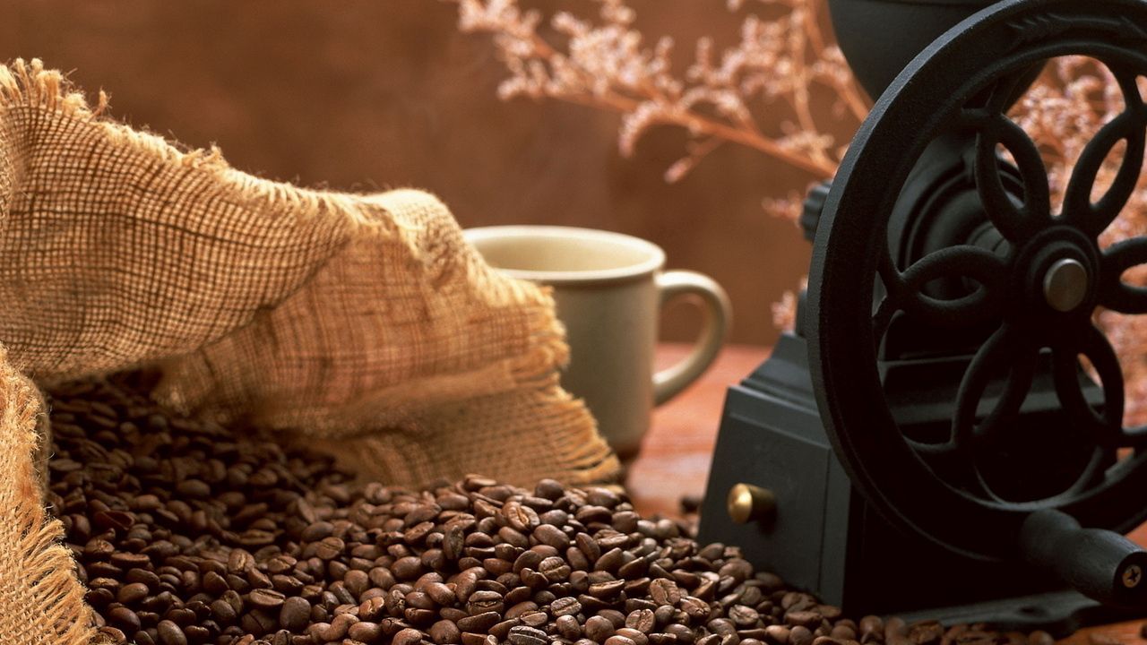 Wallpaper coffee, grains, coffee grinder, cup, bag