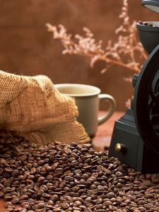 Preview wallpaper coffee, grains, coffee grinder, cup, bag