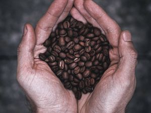 Preview wallpaper coffee, palms, hands, watches