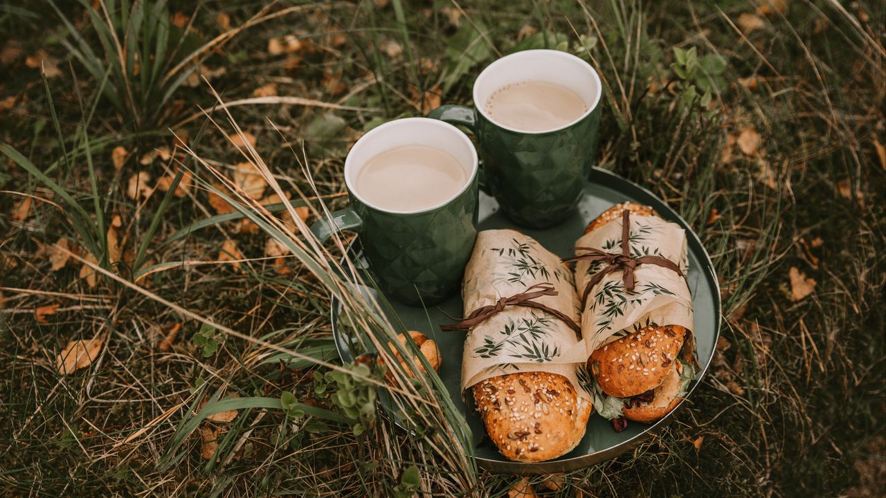 Wallpaper coffee, sandwich, picnic, nature, rest