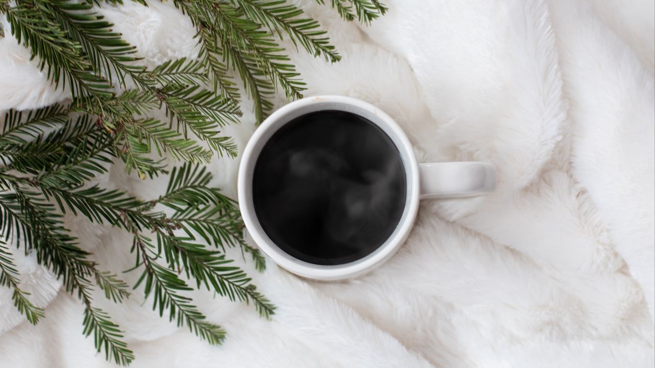 Wallpaper coffee, spruce, needles, white