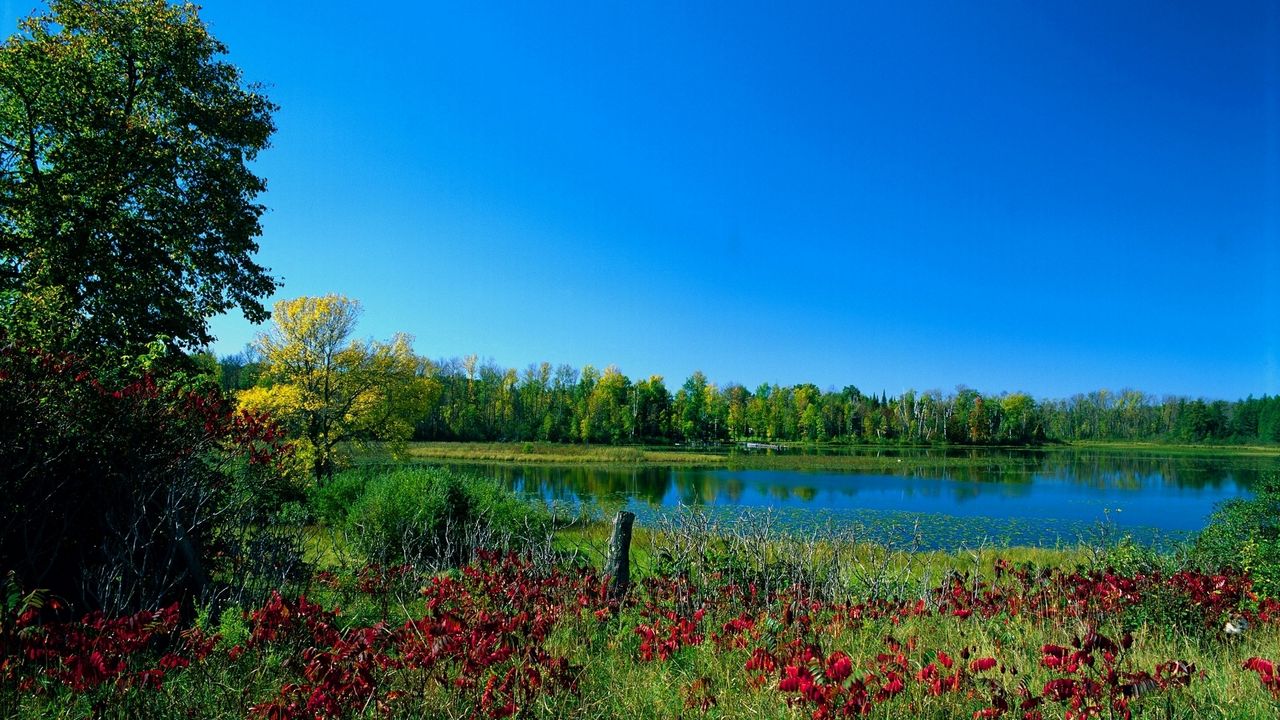 Wallpaper colors, paints, early autumn, trees, lake, greens