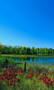 Preview wallpaper colors, paints, early autumn, trees, lake, greens