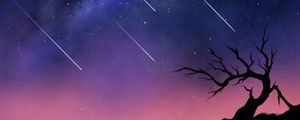 Preview wallpaper comets, space, tree, silhouette
