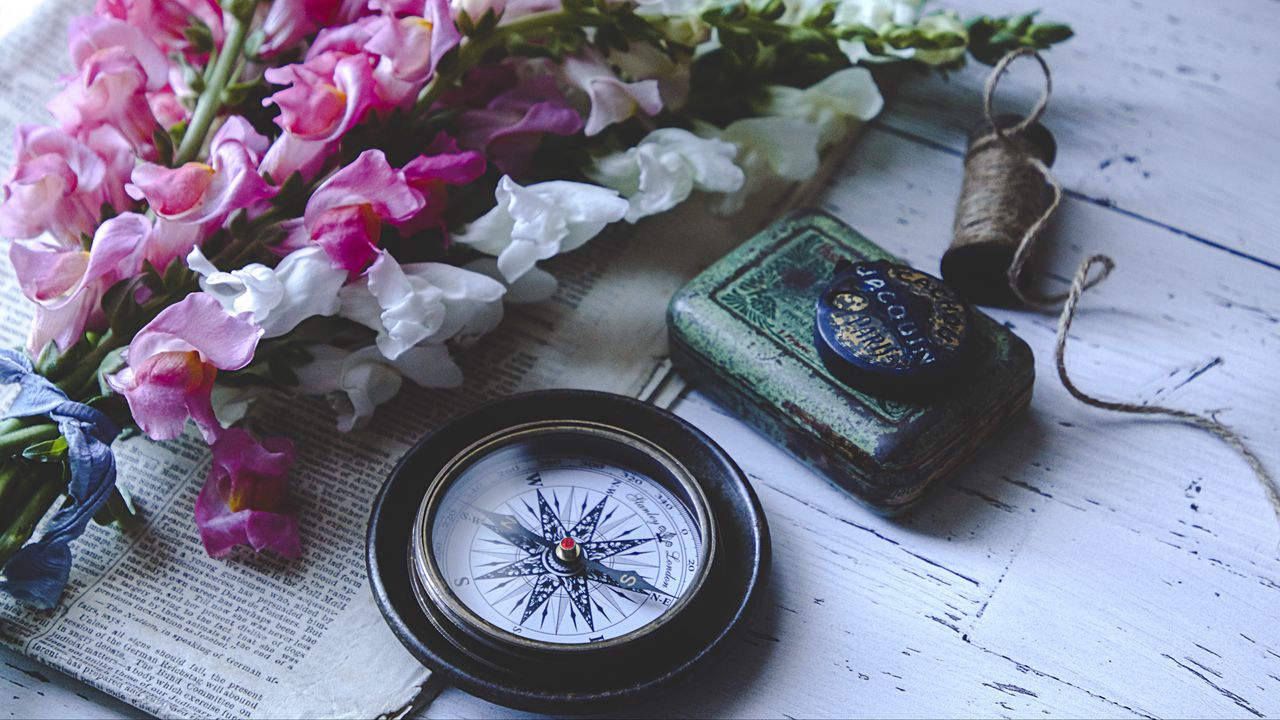 Wallpaper compass, flowers, newspaper, aesthetics