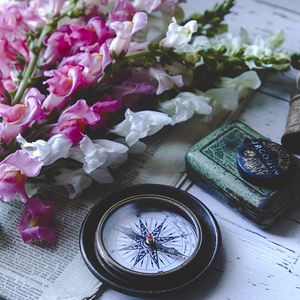 Preview wallpaper compass, flowers, newspaper, aesthetics