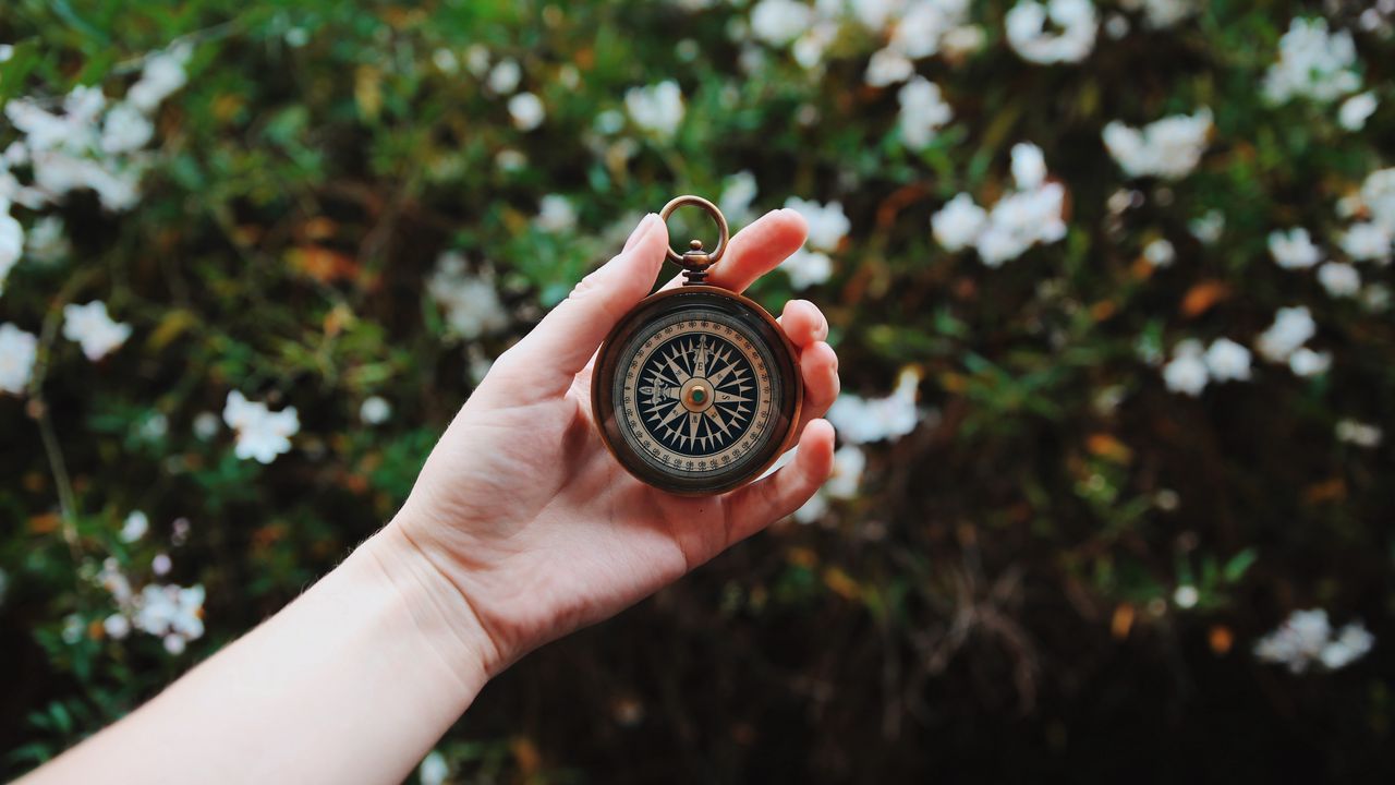 Wallpaper compass, hand, direction, branches, leaves