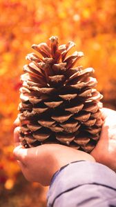 Preview wallpaper cone, hands, coniferous, brown, dry