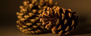 Preview wallpaper cone, pine, macro