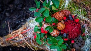 Preview wallpaper cones, berries, autumn, leaves