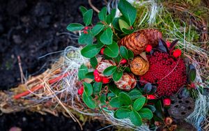 Preview wallpaper cones, berries, autumn, leaves