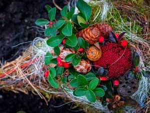 Preview wallpaper cones, berries, autumn, leaves