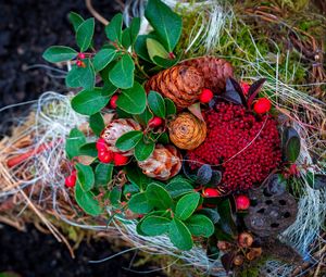 Preview wallpaper cones, berries, autumn, leaves