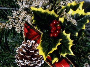 Preview wallpaper cones, needles, holiday, ornaments, berries