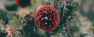 Preview wallpaper cones, pine, branch, needles, macro