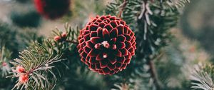 Preview wallpaper cones, pine, branch, needles, macro