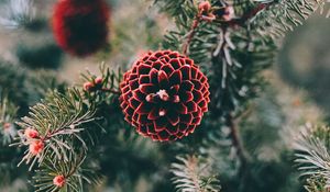 Preview wallpaper cones, pine, branch, needles, macro