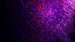 Preview wallpaper confetti, glitter, purple, abstraction