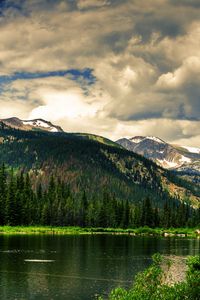 Preview wallpaper coniferous forest, mountains, height, greatness, green, landscape