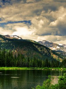 Preview wallpaper coniferous forest, mountains, height, greatness, green, landscape