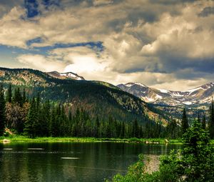Preview wallpaper coniferous forest, mountains, height, greatness, green, landscape