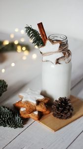 Preview wallpaper cookies, pine cone, bottle, branch, holiday