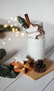 Preview wallpaper cookies, pine cone, bottle, branch, holiday