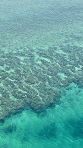 Preview wallpaper coral reefs, reefs, ocean, bottom
