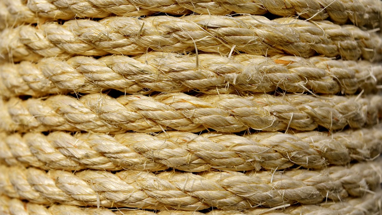Wallpaper cord, rope, weaving