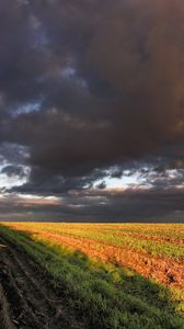 Preview wallpaper corn, field, sky, panorama, arable land, clouds