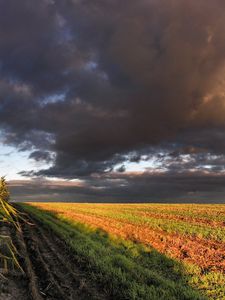 Preview wallpaper corn, field, sky, panorama, arable land, clouds