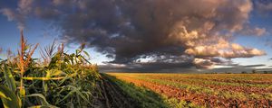 Preview wallpaper corn, field, sky, panorama, arable land, clouds