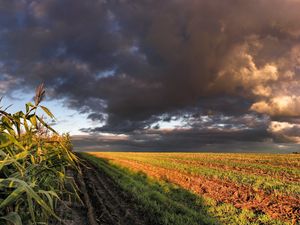 Preview wallpaper corn, field, sky, panorama, arable land, clouds