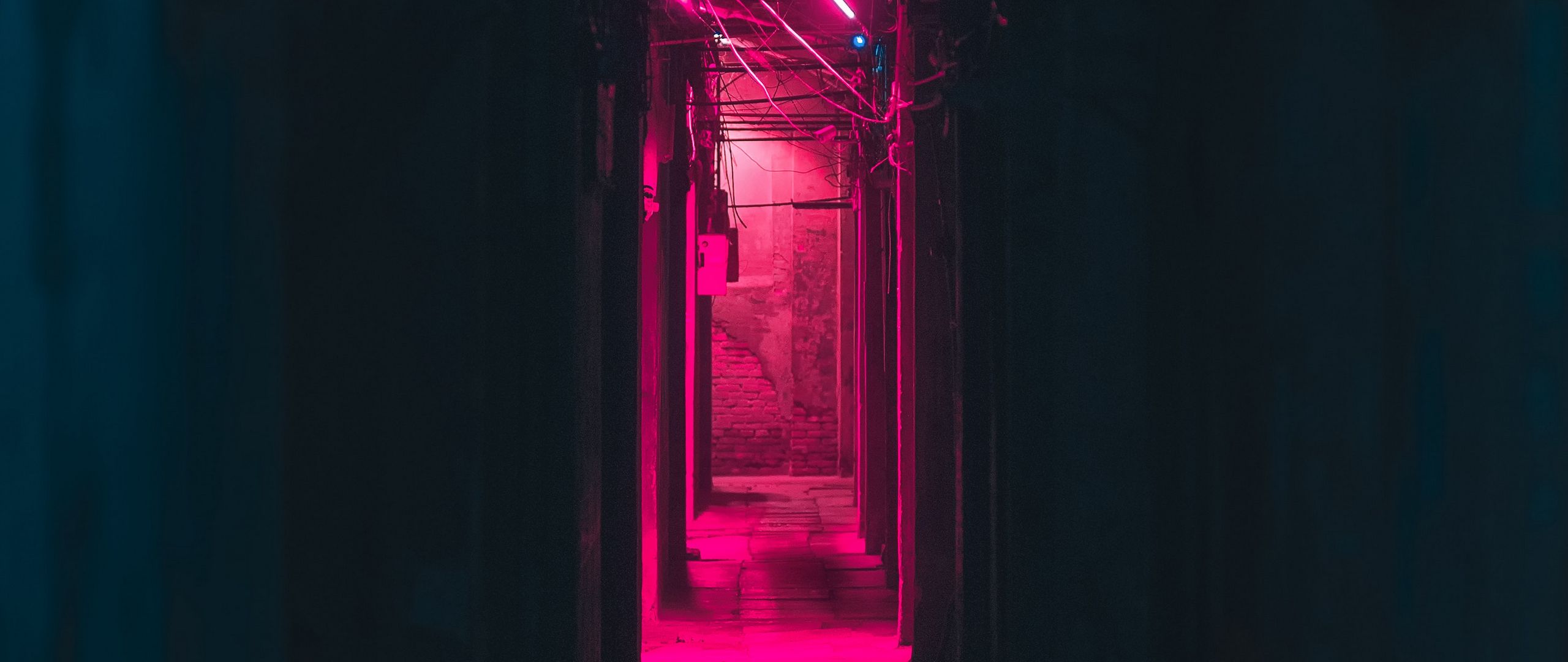 Hình nền hồng neon đen sẽ mang đến cho bạn một không gian làm việc hay giải trí hiện đại và độc đáo. Hãy cùng chiêm ngưỡng thiết kế này để có những trải nghiệm thú vị.