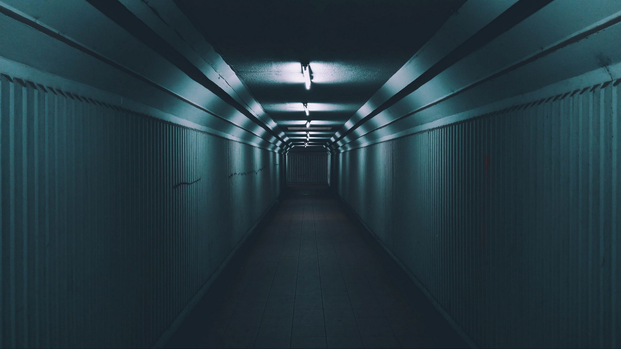Download wallpaper 2560x1440 corridor, passage, door, walls widescreen