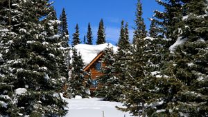 Preview wallpaper cottage, camp site, trees, fir-trees, snow, clearly