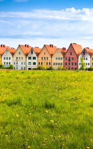 Preview wallpaper cottages, field, grass, flowers, summer