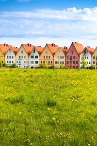 Preview wallpaper cottages, field, grass, flowers, summer