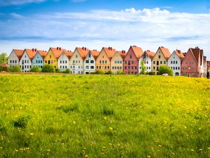 Preview wallpaper cottages, field, grass, flowers, summer