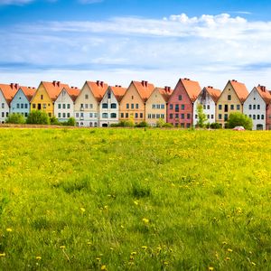 Preview wallpaper cottages, field, grass, flowers, summer