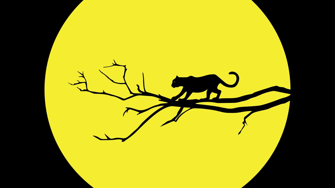 Wallpaper cougar, jaguar, minimalism, vector, black, yellow