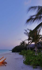 Preview wallpaper country house, romanticism, coast, palm trees, evening, light