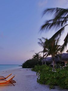 Preview wallpaper country house, romanticism, coast, palm trees, evening, light