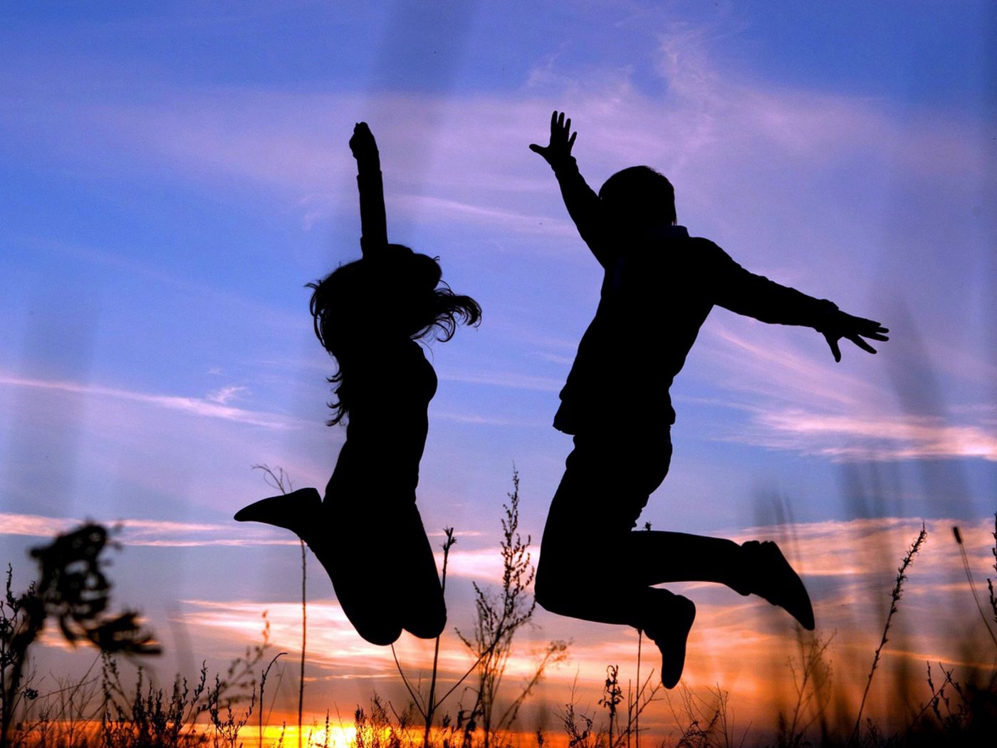 Download wallpaper 1400x1050 couple, jump, shadow, silhouette, grass