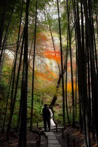 Preview wallpaper couple, kiss, love, path, forest, nature