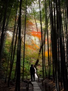 Preview wallpaper couple, kiss, love, path, forest, nature