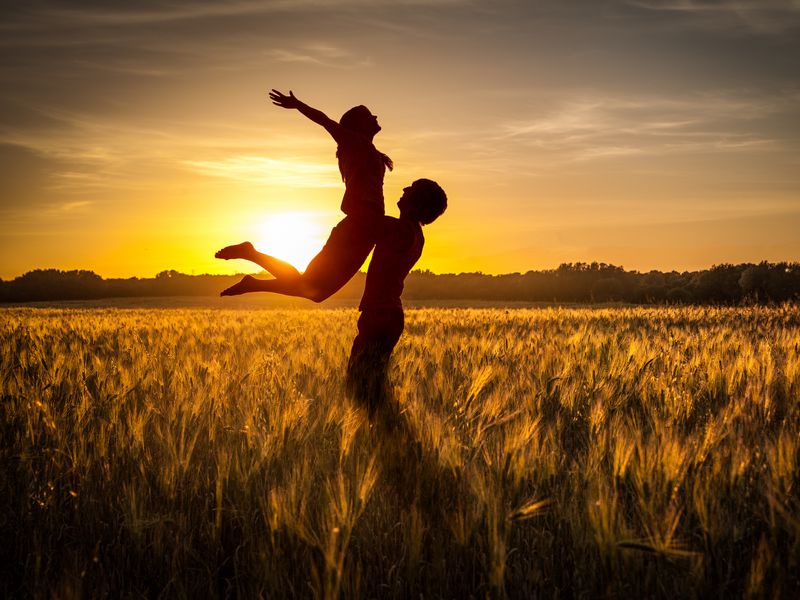 800x600 Wallpaper couple, love, sunset, field, grass, silhouettes