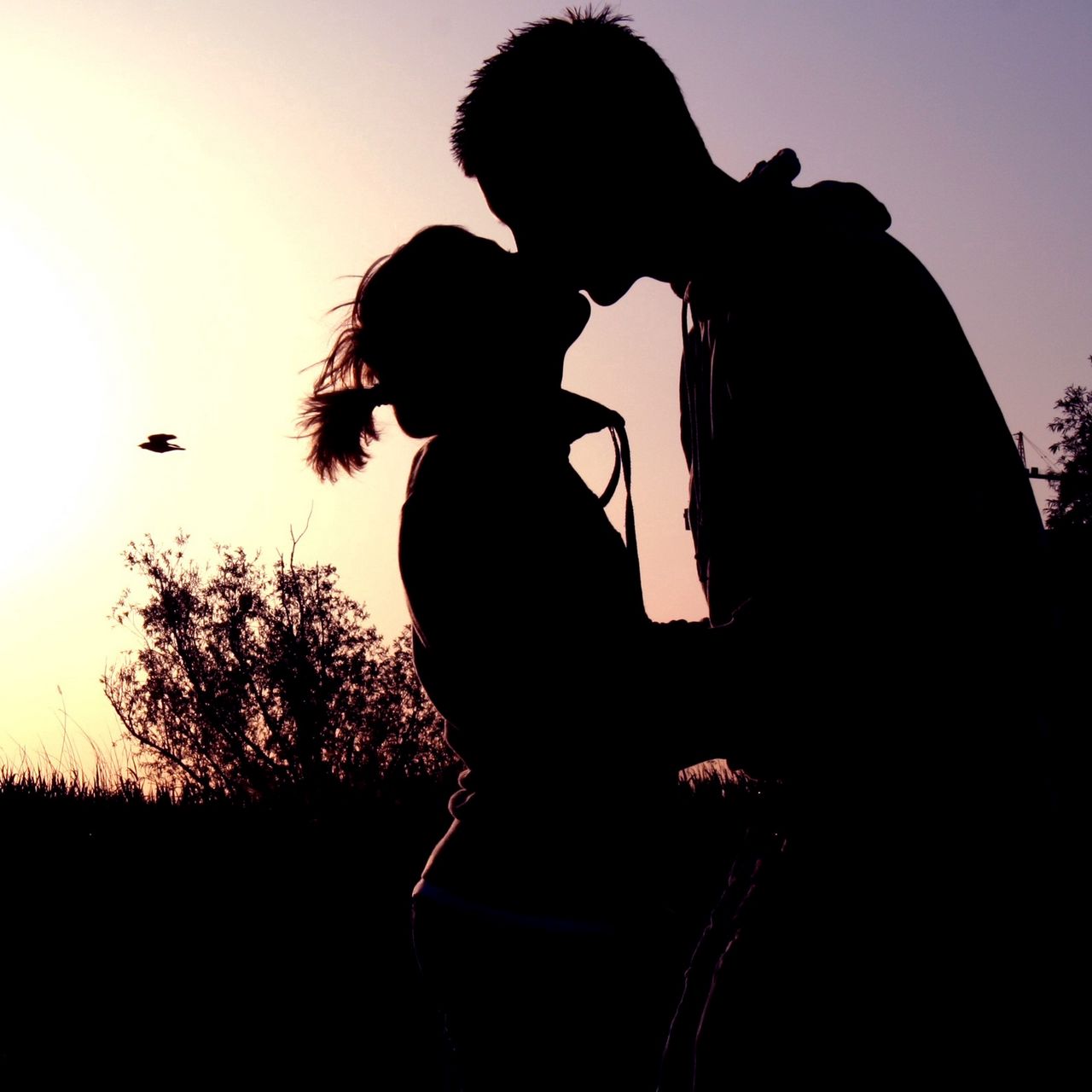 1280x1280 Wallpaper couple, shadow, sunset, kissing, hugging, romance