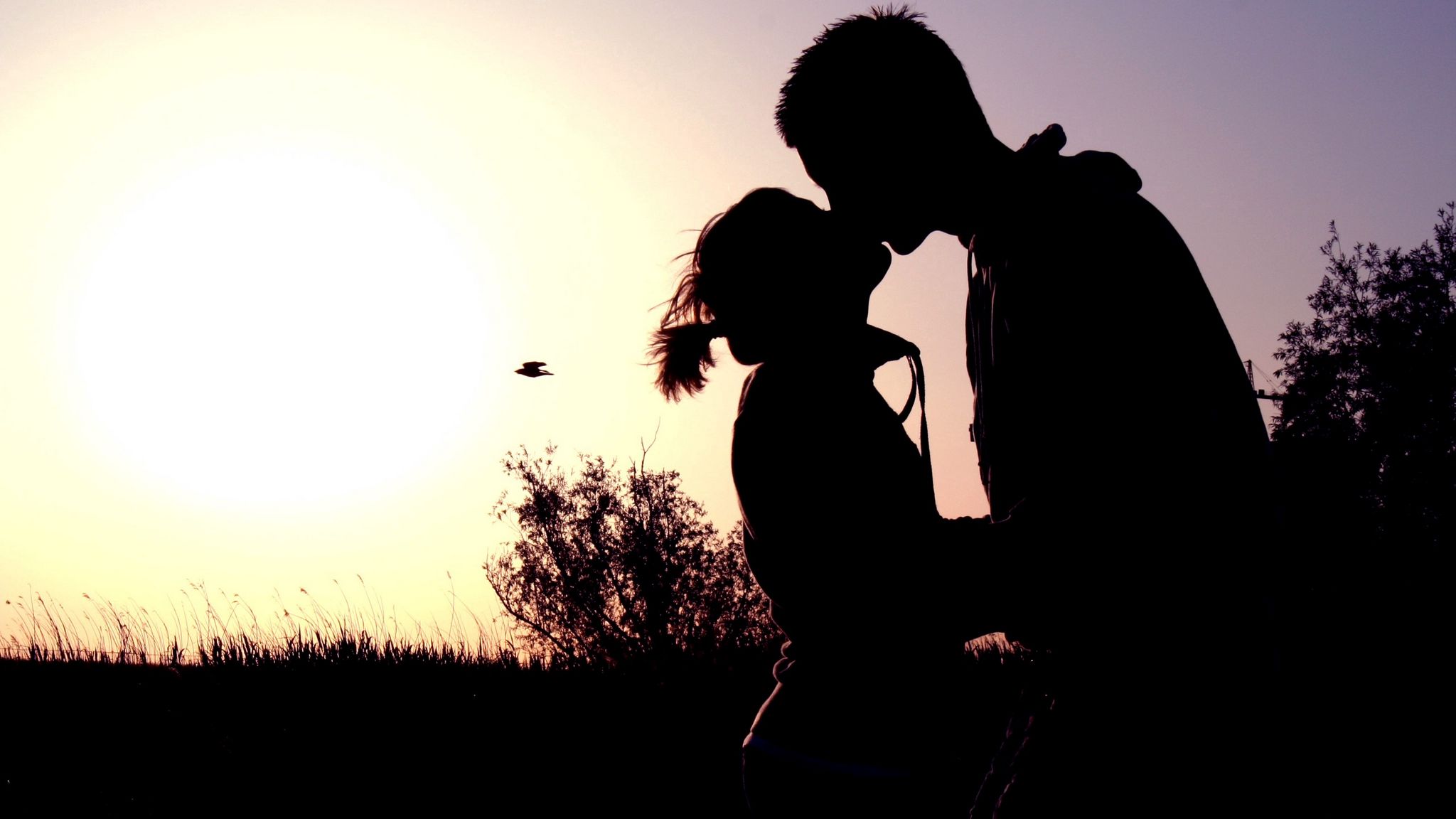 2048x1152 Wallpaper couple, shadow, sunset, kissing, hugging, romance